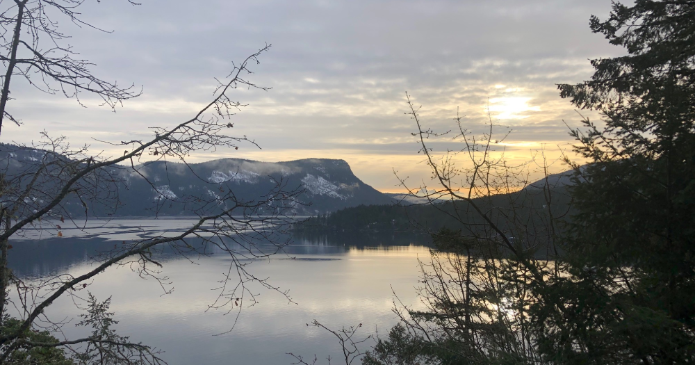 Sunrise over the water in Maple Bay, with mist on the inlet and oak branches framing the view